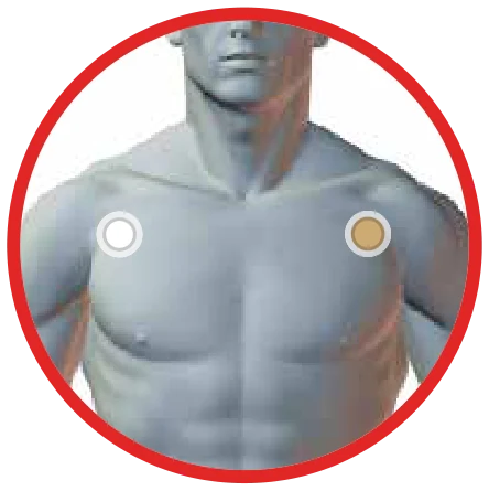 Dónde se coloca el parche Energy Enhancer: debajo de las clavículas: blanco a la derecha, marrón claro a la izquierda