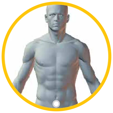 Dónde se coloca el parche Glutathione: en el abdomen, sobre la línea media, por debajo del ombligo