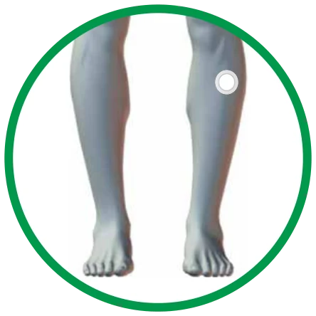 Dónde se coloca el parche SP6 Complete: en la parte delantera de la pierna, por debajo de la rodilla, hacia el lado externo